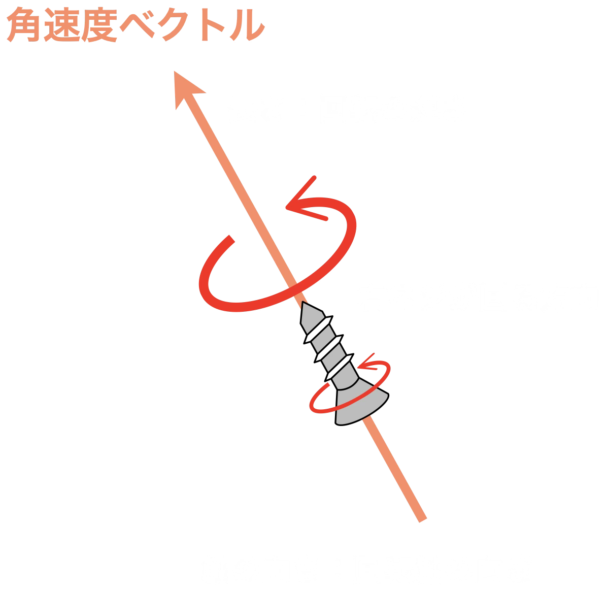 角速度ベクトル: 矢印の方向が回転軸（右ねじが進む向き）、長さが回転の速さ