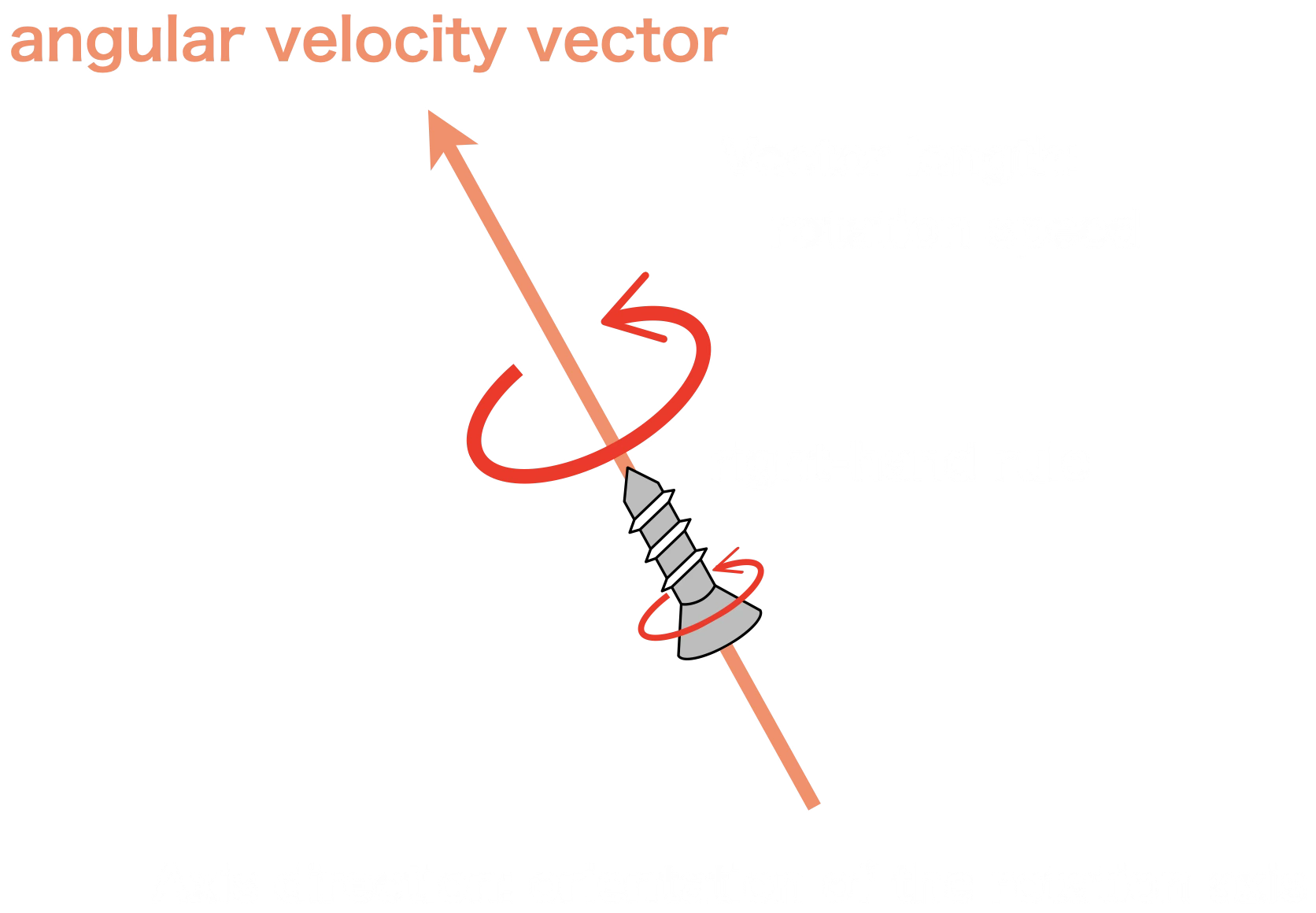 Angular velocity vector: the arrow direction is the spin axis (right-hand screw direction), and the length is the spin rate
